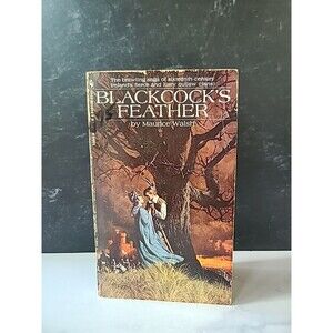Blackcock's Feather By Maurice Walsh Paperback